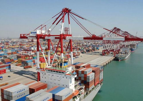 上海机场国际快递进口报关与代理服务详解